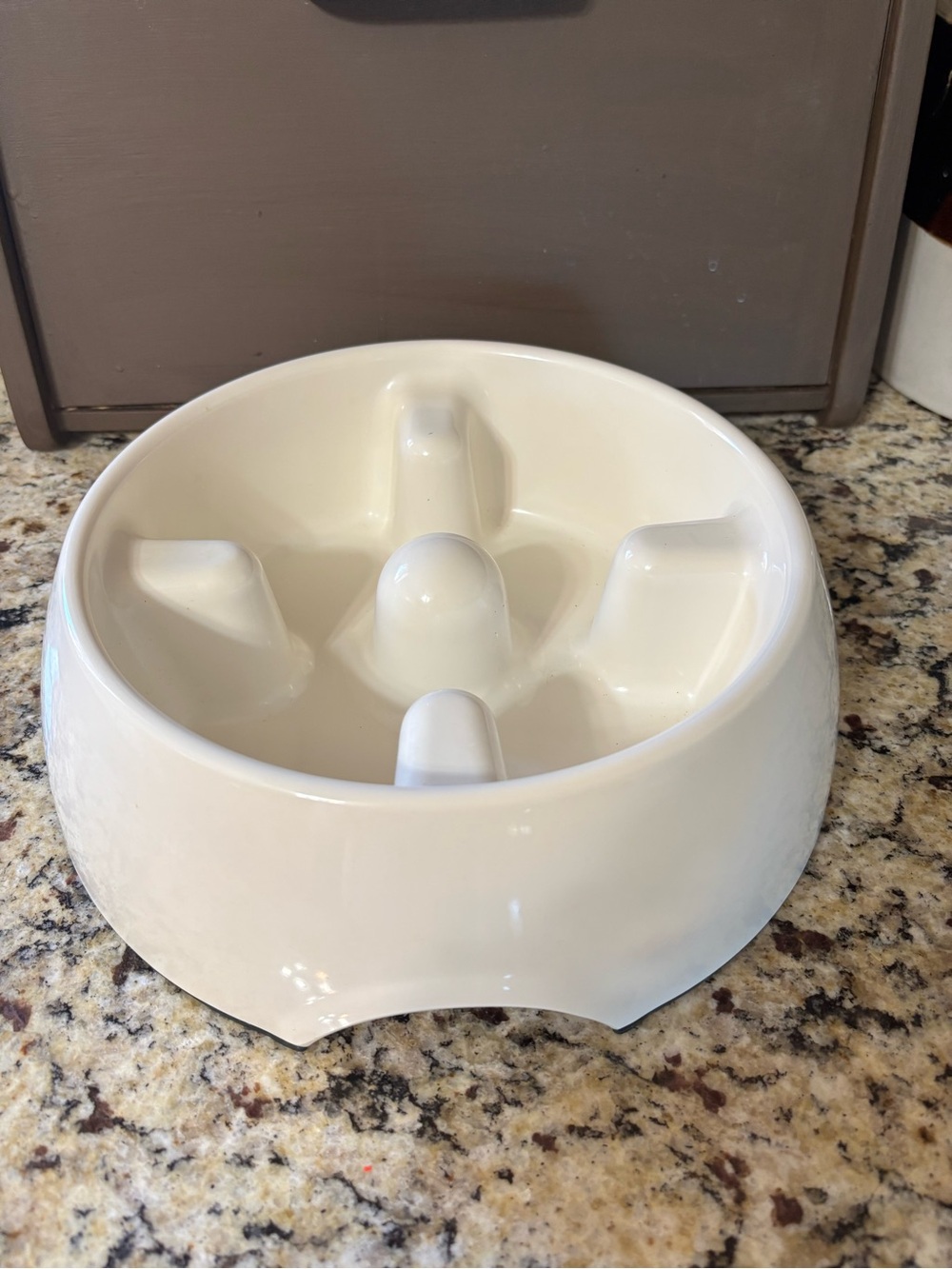 Slow Feeder Dog Bowl